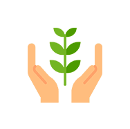 Planta